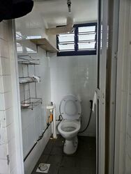 Blk 289F Nature View (Bukit Batok), HDB 4 Rooms #560636861